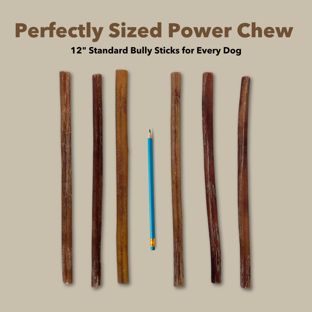 12" Standard Bulk Bully Sticks