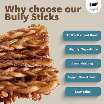 12" MONSTER Braided Bully Sticks