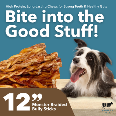 12" MONSTER Braided Bully Sticks