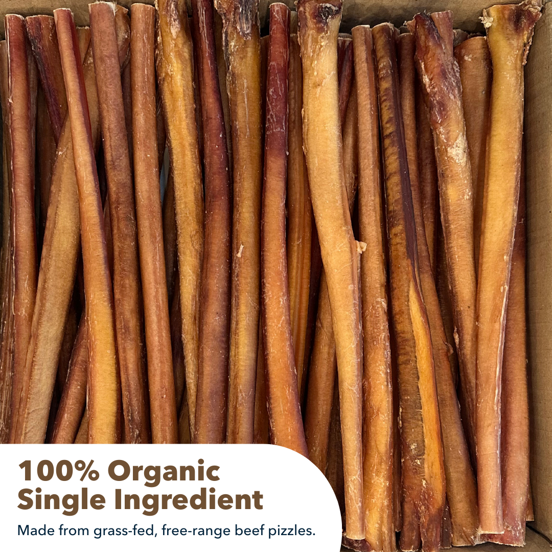 12" Thick Bulk Bully Sticks
