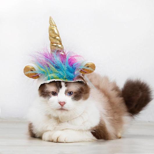 "Unicorn VS Devil" Pets Halloween Costume Hats