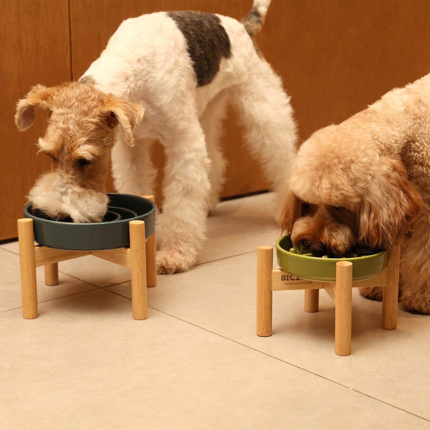 [Spark] Slow Feeder Dog Bowls - Red / Green / Blue