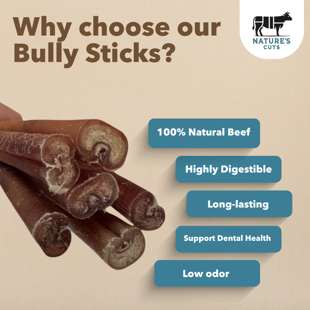 12" Thick Bulk Bully Sticks